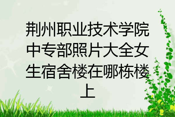 荆州职业技术学院中专部照片大全女生宿舍楼在哪栋楼上