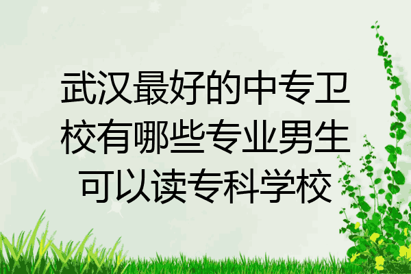 武汉最好的中专卫校有哪些专业男生可以读专科学校