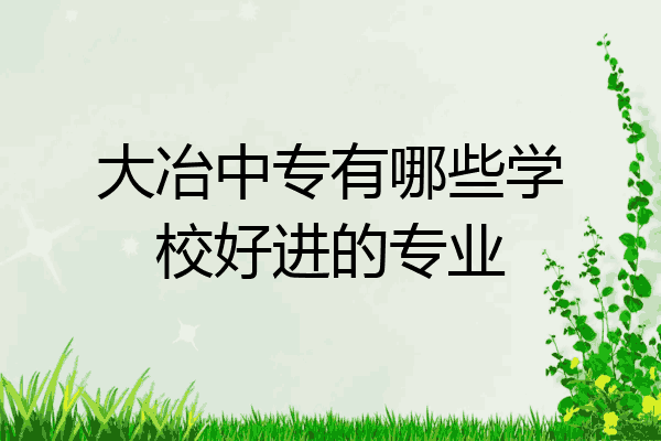 大冶中专有哪些学校好进的专业