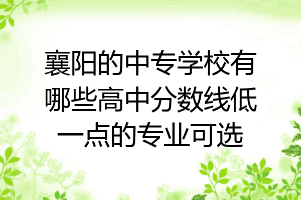 襄阳的中专学校有哪些高中分数线低一点的专业可选