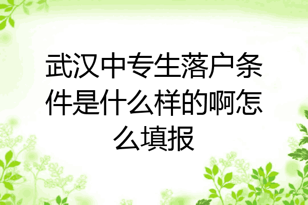 武汉中专生落户条件是什么样的啊怎么填报