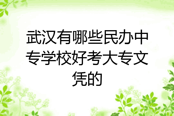 武汉有哪些民办中专学校好考大专文凭的