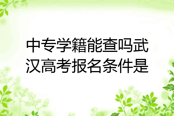 中专学籍能查吗武汉高考报名条件是