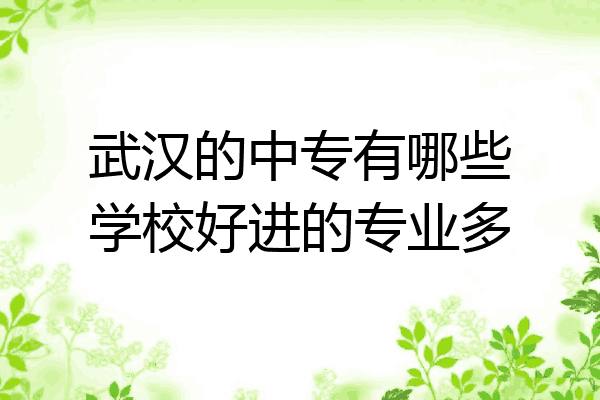 武汉的中专有哪些学校好进的专业多