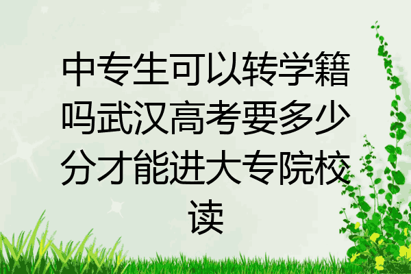 中专生可以转学籍吗武汉高考要多少分才能进大专院校读
