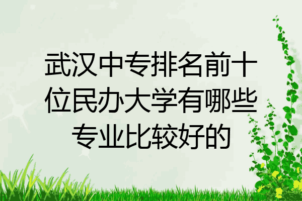 武汉中专排名前十位民办大学有哪些专业比较好的