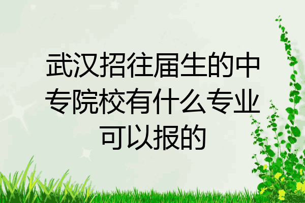 武汉招往届生的中专院校有什么专业可以报的