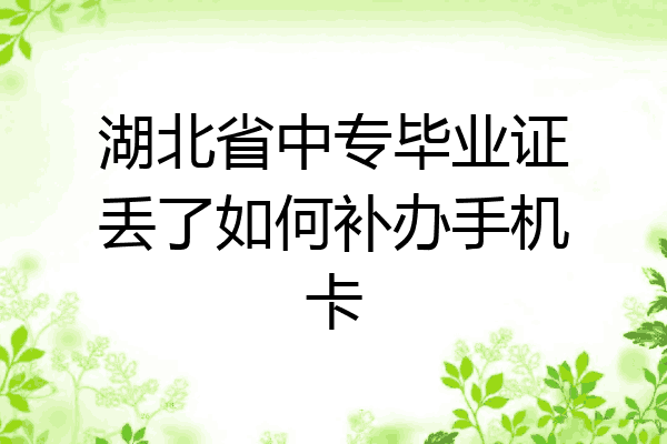 湖北省中专毕业证丢了如何补办手机卡