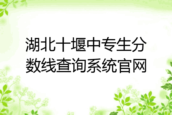 湖北十堰中专生分数线查询系统官网
