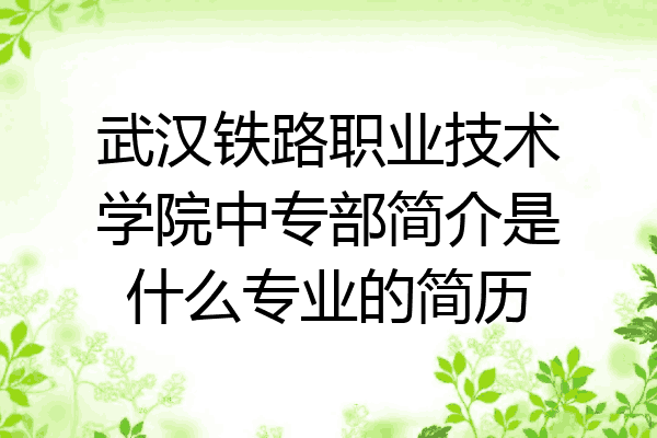 武汉铁路职业技术学院中专部简介是什么专业的简历