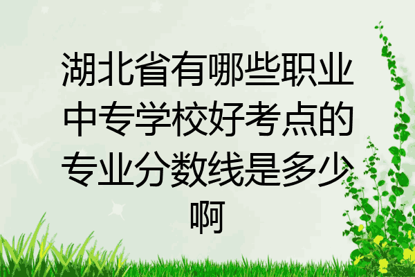 湖北省有哪些职业中专学校好考点的专业分数线是多少啊