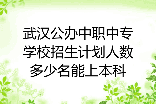 武汉公办中职中专学校招生计划人数多少名能上本科