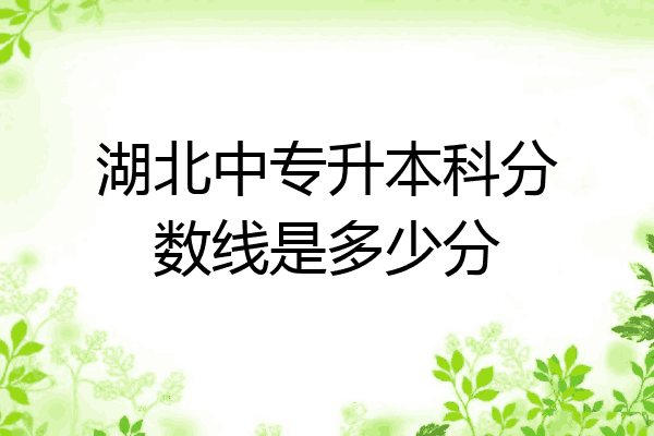 湖北中专升本科分数线是多少分