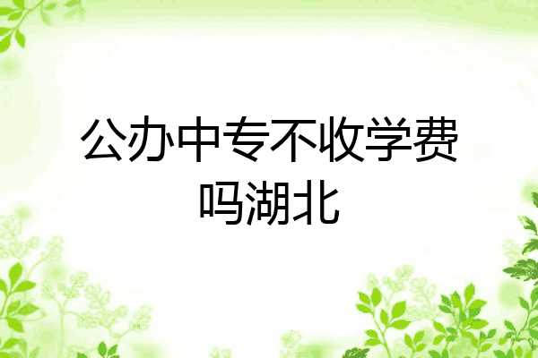 公办中专不收学费吗湖北