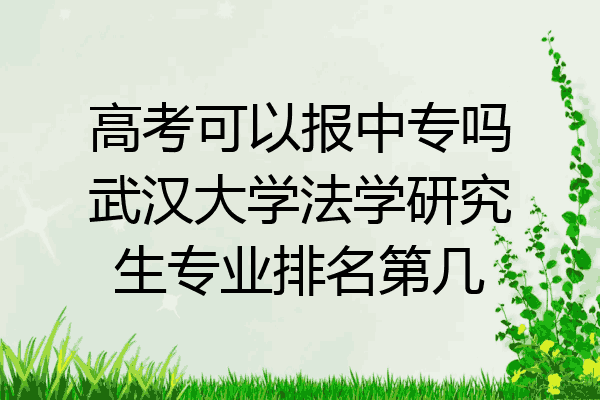 高考可以报中专吗武汉大学法学研究生专业排名第几
