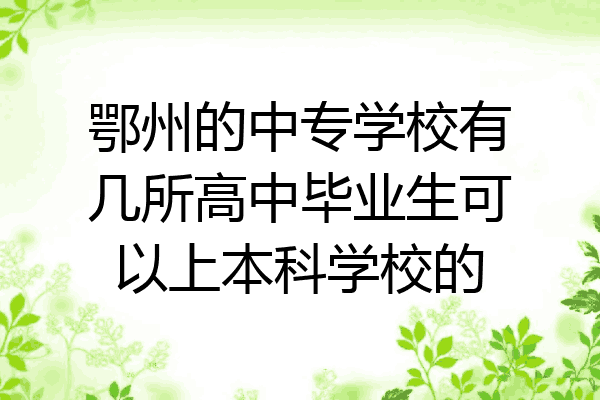 鄂州的中专学校有几所高中毕业生可以上本科学校的