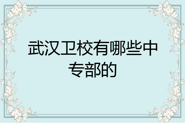 武汉卫校有哪些中专部的