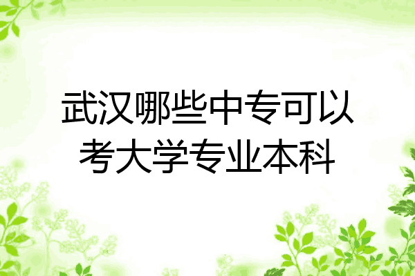 武汉哪些中专可以考大学专业本科