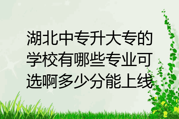 湖北中专升大专的学校有哪些专业可选啊多少分能上线