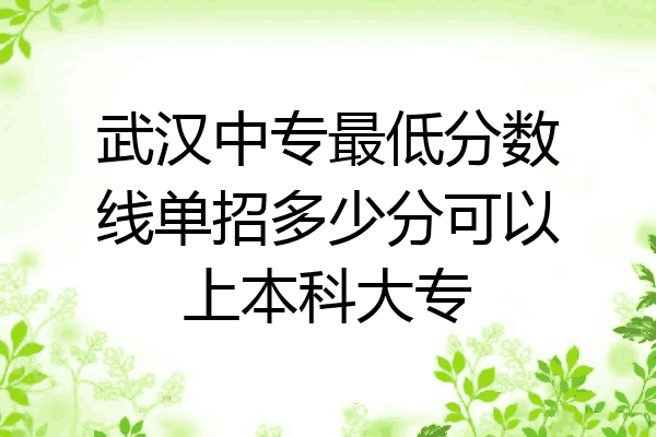 武汉中专最低分数线单招多少分可以上本科大专