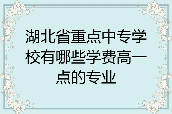 湖北省重点中专学校有哪些学费高一点的专业