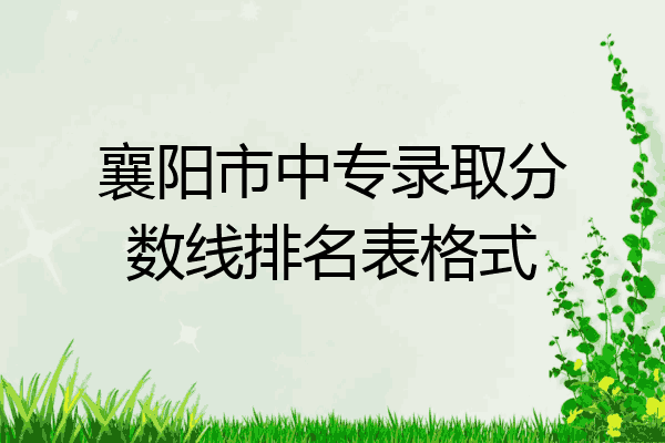 襄阳市中专录取分数线排名表格式