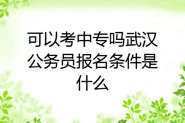 可以考中专吗武汉公务员报名条件是什么