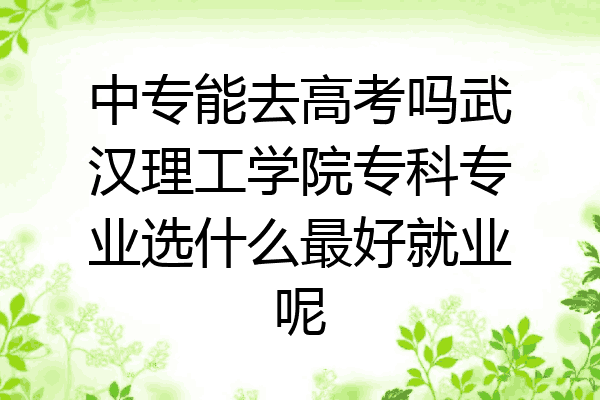 中专能去高考吗武汉理工学院专科专业选什么最好就业呢