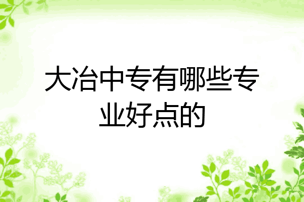 大冶中专有哪些专业好点的