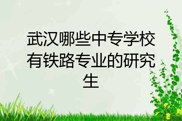 武汉哪些中专学校有铁路专业的研究生