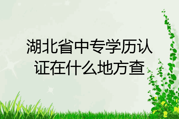 湖北省中专学历认证在什么地方查