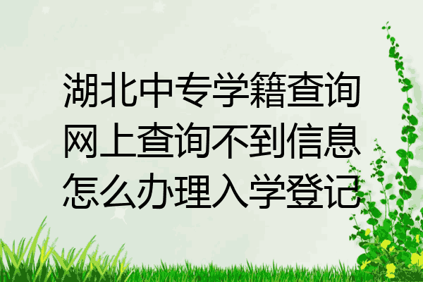 湖北中专学籍查询网上查询不到信息怎么办理入学登记