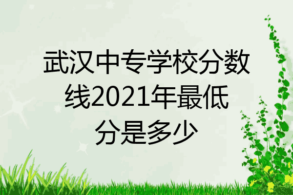 武汉中专学校分数线2021年最低分是多少