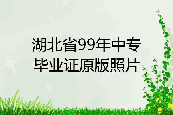 湖北省99年中专毕业证原版照片