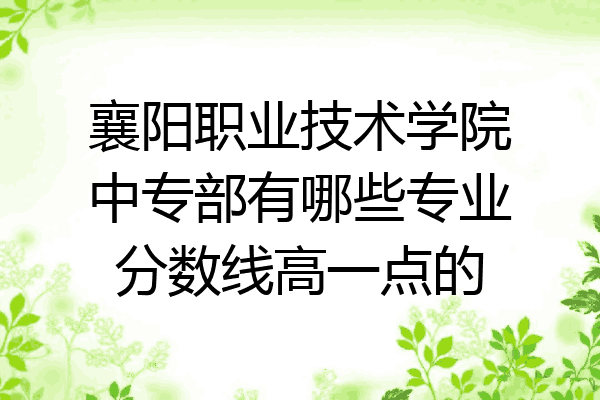 襄阳职业技术学院中专部有哪些专业分数线高一点的