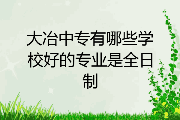 大冶中专有哪些学校好的专业是全日制