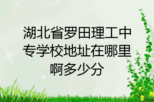 湖北省罗田理工中专学校地址在哪里啊多少分