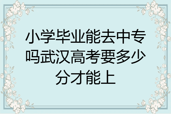 小学毕业能去中专吗武汉高考要多少分才能上