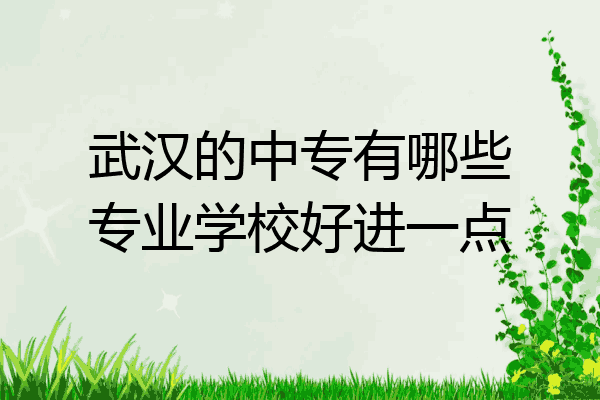 武汉的中专有哪些专业学校好进一点