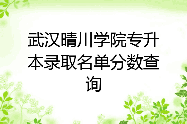 武汉晴川学院专升本录取名单分数查询