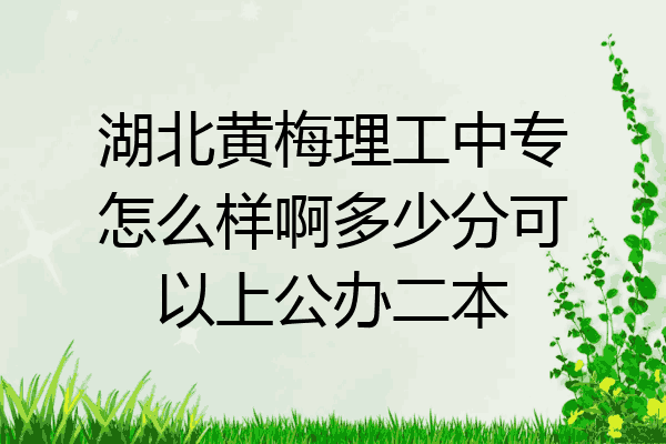 湖北黄梅理工中专怎么样啊多少分可以上公办二本