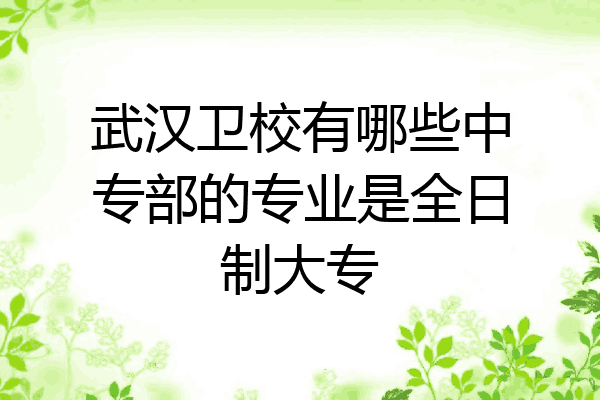 武汉卫校有哪些中专部的专业是全日制大专