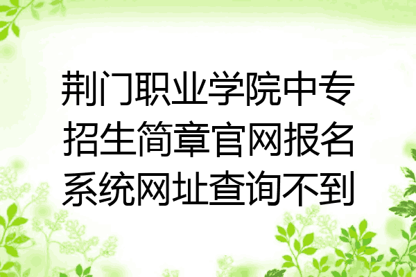 荆门职业学院中专招生简章官网报名系统网址查询不到