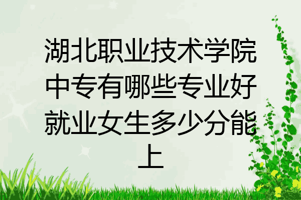 湖北职业技术学院中专有哪些专业好就业女生多少分能上