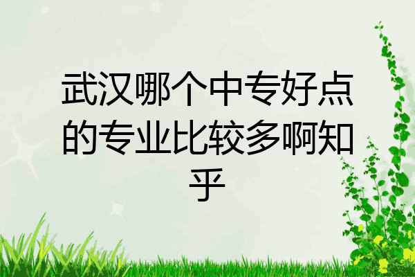 武汉哪个中专好点的专业比较多啊知乎