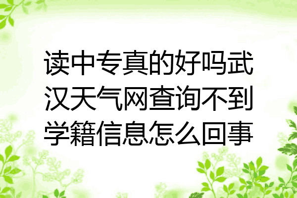 读中专真的好吗武汉天气网查询不到学籍信息怎么回事