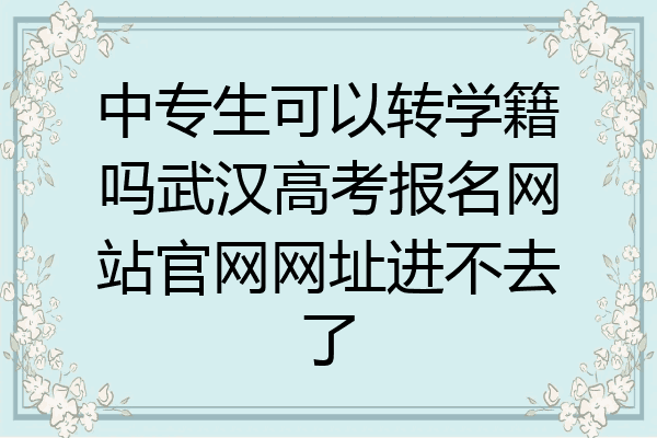 中专生可以转学籍吗武汉高考报名网站官网网址进不去了