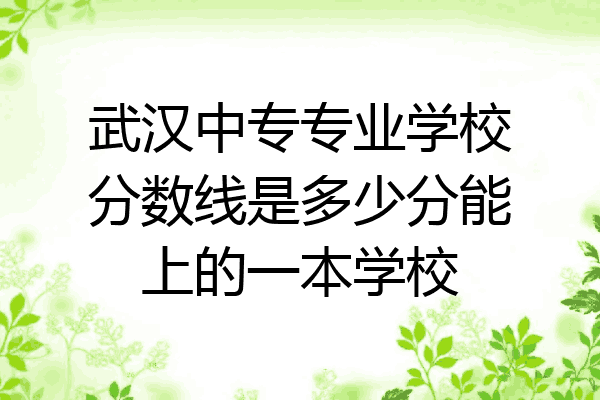 武汉中专专业学校分数线是多少分能上的一本学校