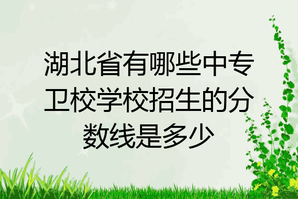 湖北省有哪些中专卫校学校招生的分数线是多少