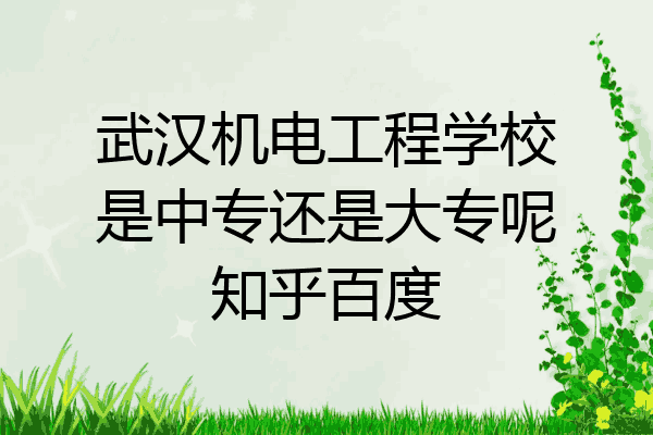 武汉机电工程学校是中专还是大专呢知乎百度